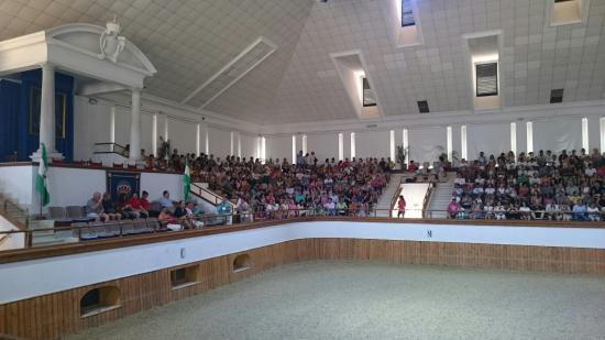 Como bailan los caballos andaluces